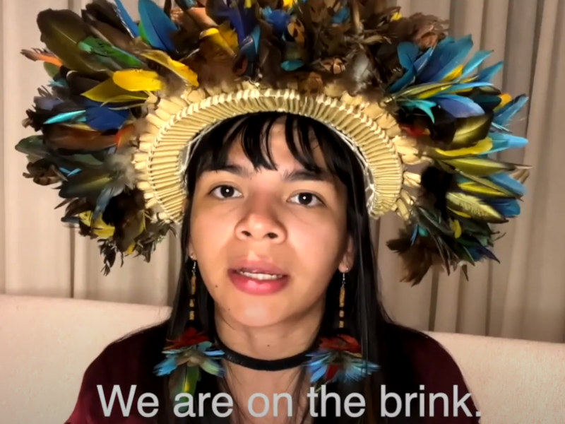 Artists Call for the Protection of 80% of the Amazon by 2025!